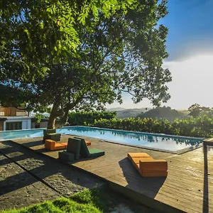 https://clave-verde-ecolodge.greaterantilleshotels.net